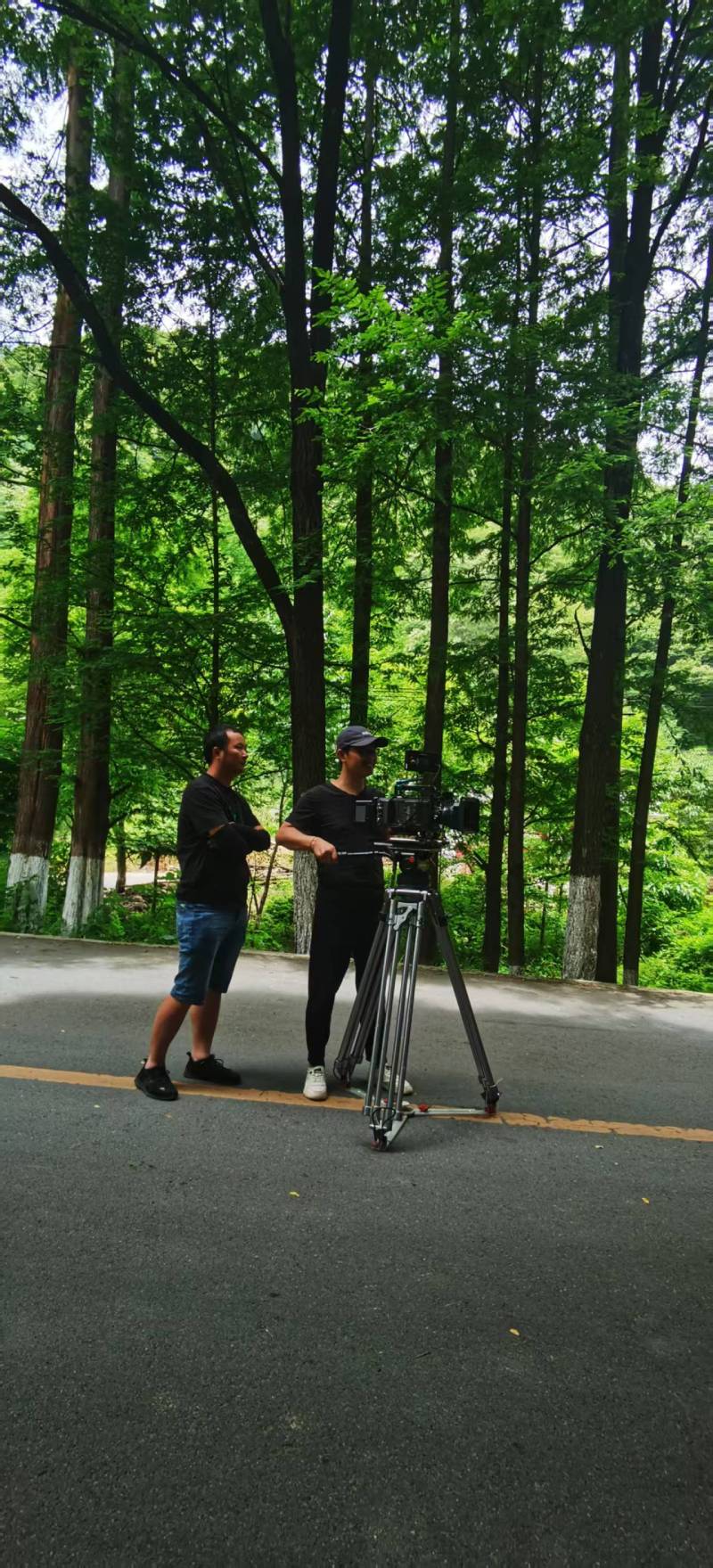 初创公司VS行业巨头——荣县宣传片拍摄服务商定制化解决方案对比