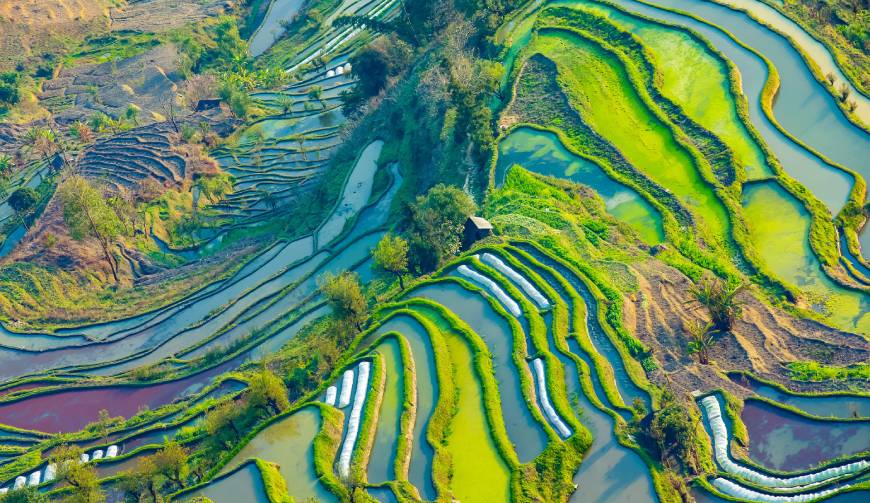荣县宣传片拍摄咨询中心-全方位支持